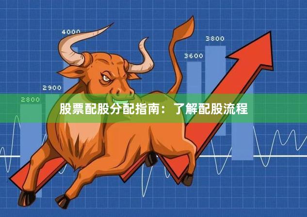 股票配股分配指南：了解配股流程